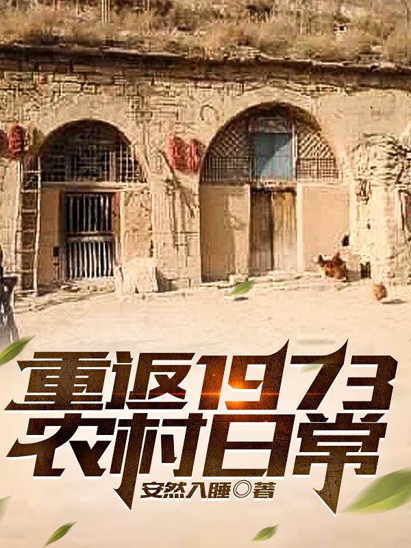 重返1977年小说